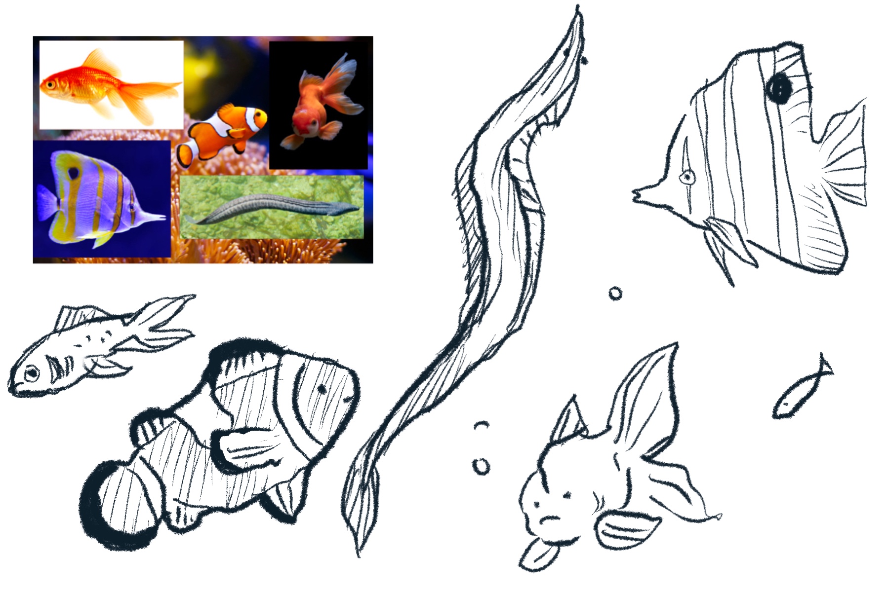 Hvordan man tegner en fisk